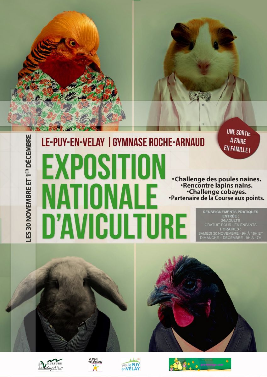 site de rencontre pour animaux lapin