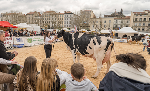 Retour sur La Ferme s'invite en ville