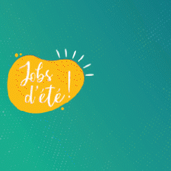Forum JOBS D'ETE