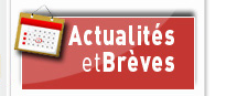 Actualités et Brèves